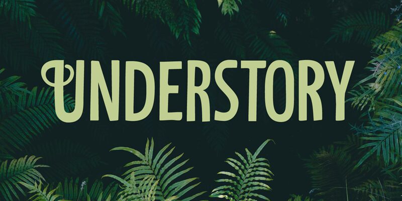 Understory Schriftart