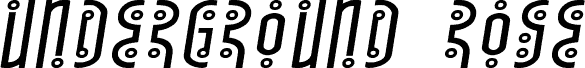 Underground Rose Expanded Italic