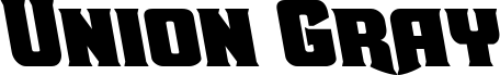 Union Gray Leftalic