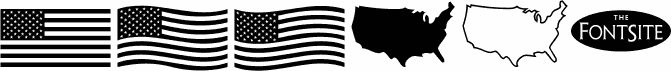 US Flag
