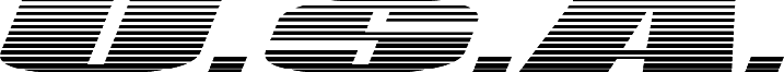 U.S.A. Gradient Italic