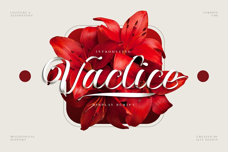 Vaclice Schriftart