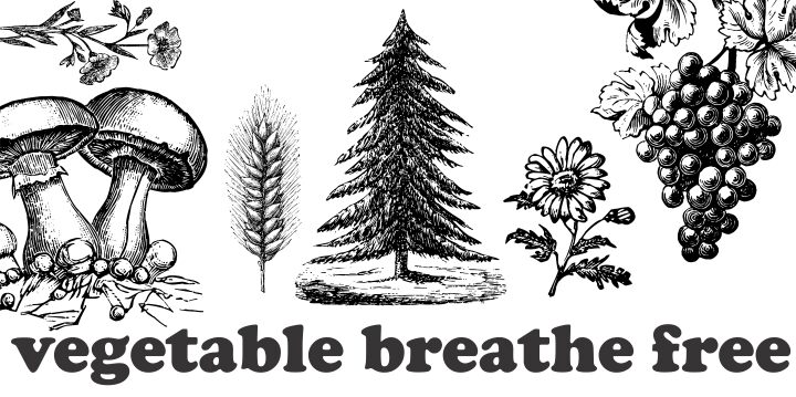 Vegetable Breathe Schriftart