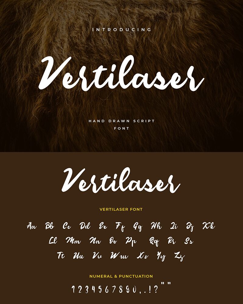 Vertilaser Druh písma