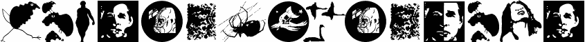 VectorLaborTest