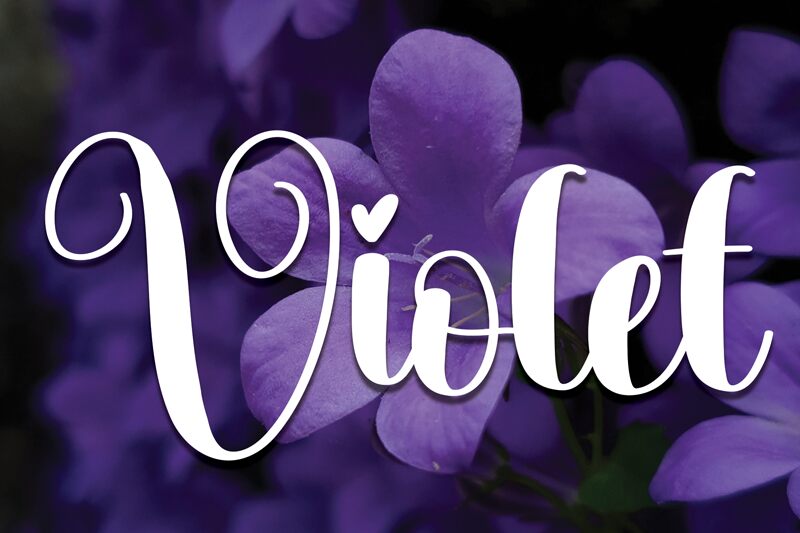 Violet Schriftart