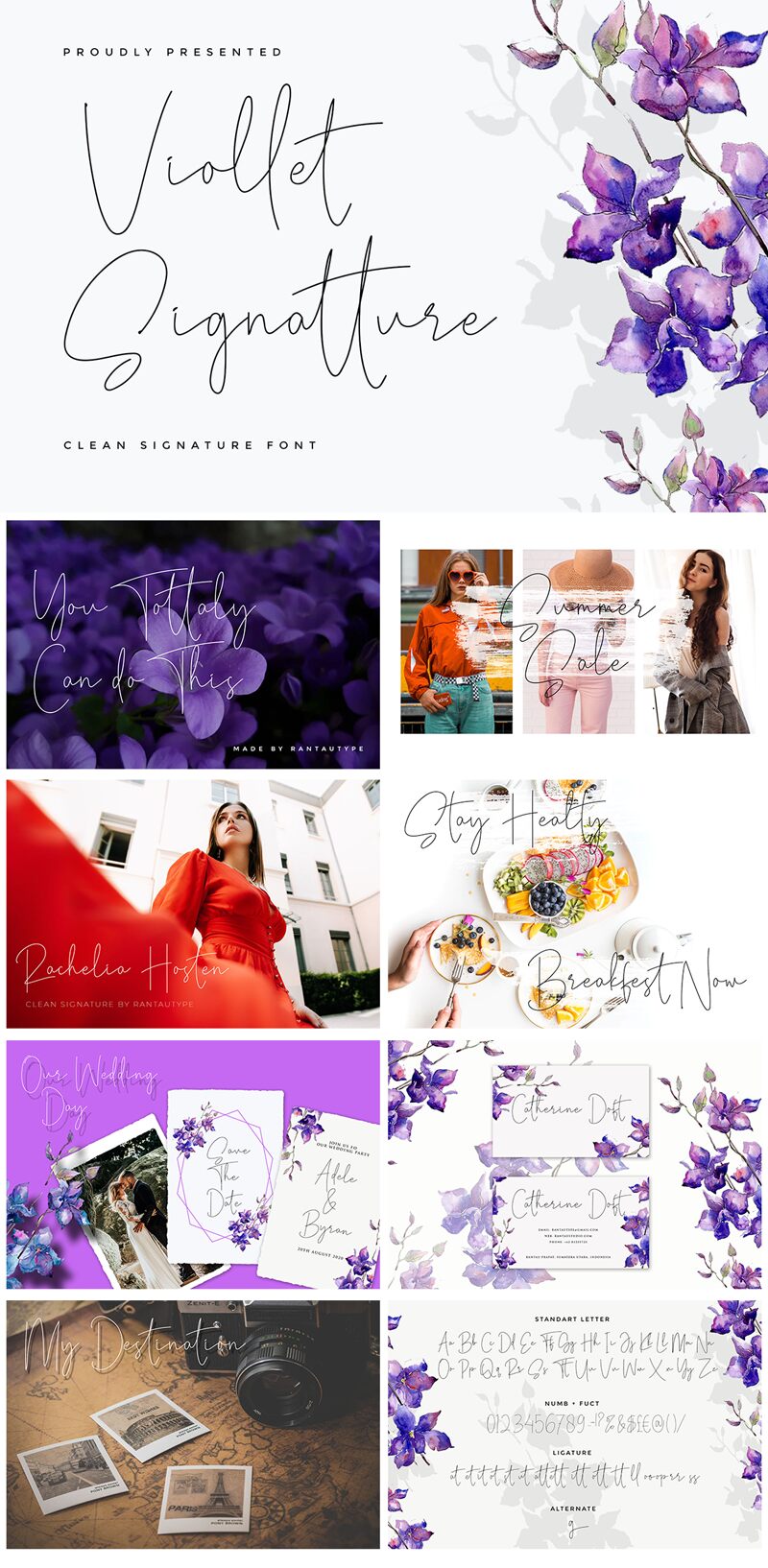 Viollet Signatture Czcionka
