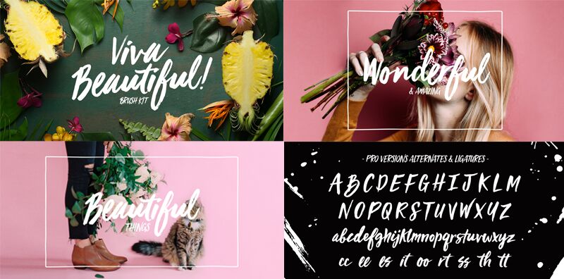 Viva Beautiful Schriftart