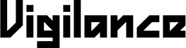 Vigilance BRK