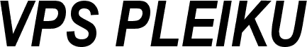 VPS Pleiku Bold Italic Hoa