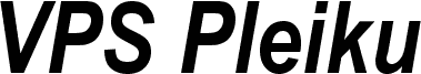 VPS Pleiku Bold Italic