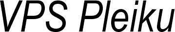 VPS Pleiku Italic