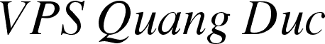 VPS Quang Duc Italic