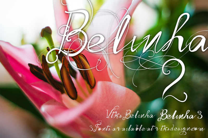 Vtks Belinha الخط
