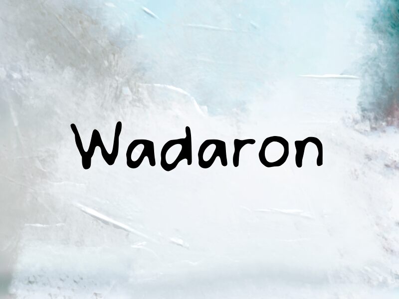 Présentation et spécimen de la police Wadaron