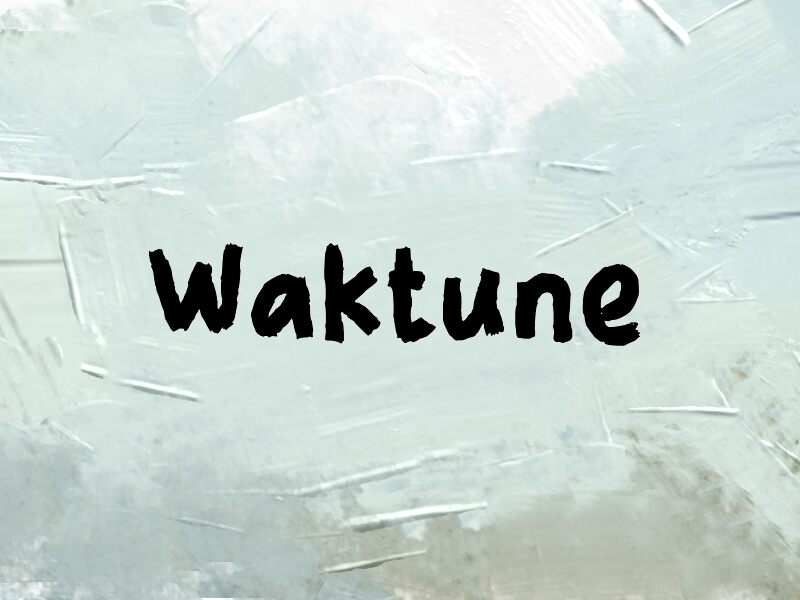 Waktune Druh písma