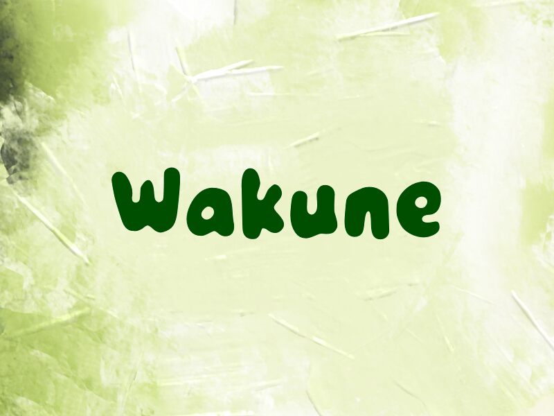 Wakune 字体