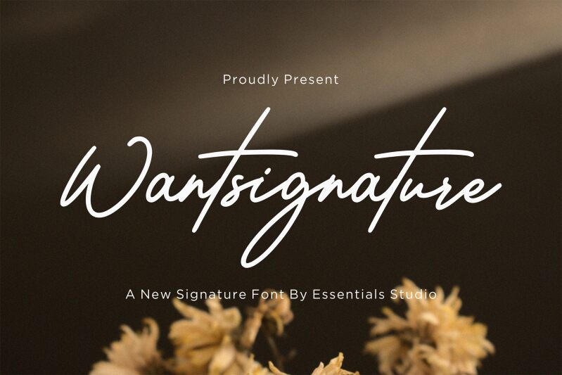 Wantsignature — Presentación de la fuente