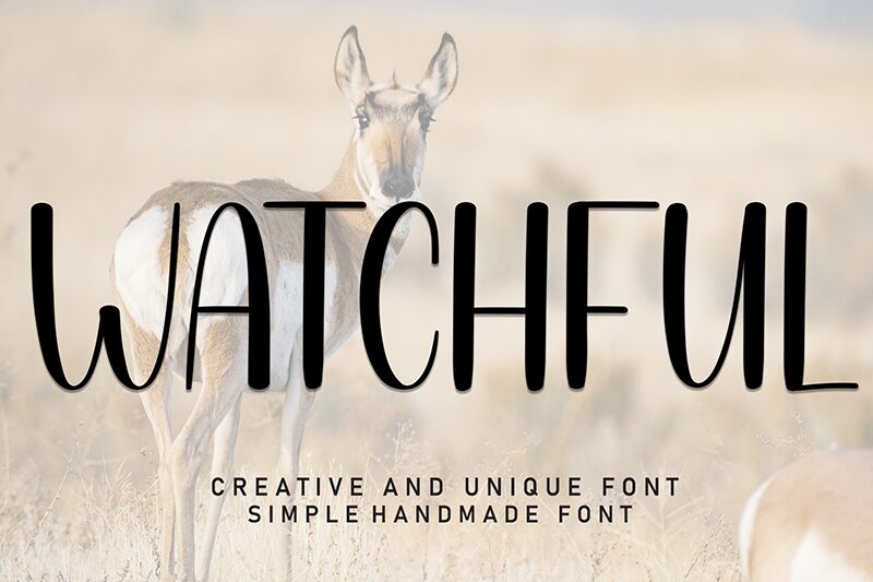 Watchful 字体