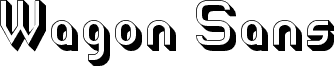 Wagon Sans Two Shaded