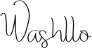 Washllo Demo