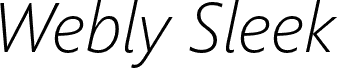 WeblySleek UI Light Italic
