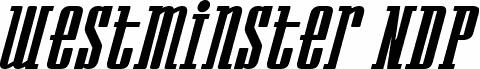 Westminster NDP Italic