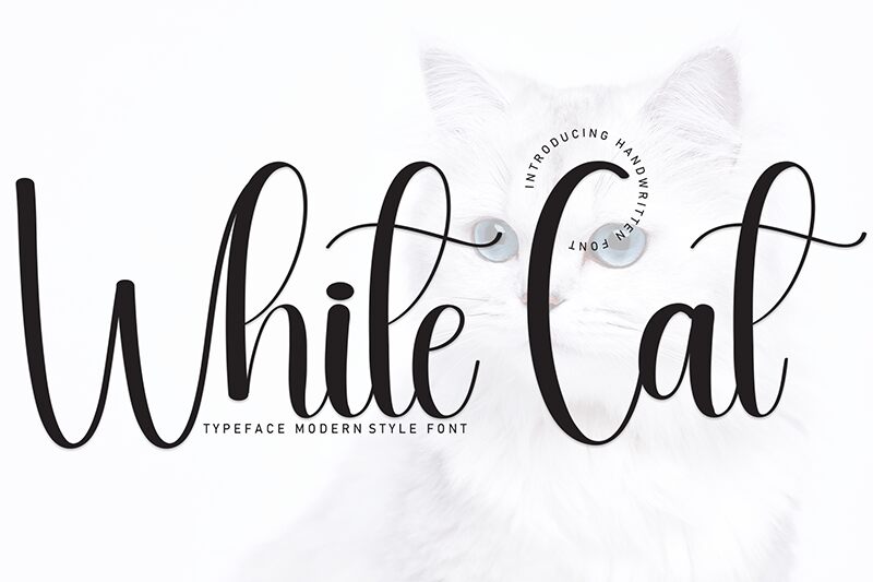 White Cat Schriftart