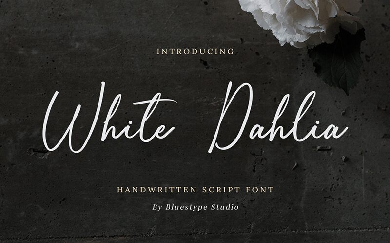 White Dahlia Schriftart
