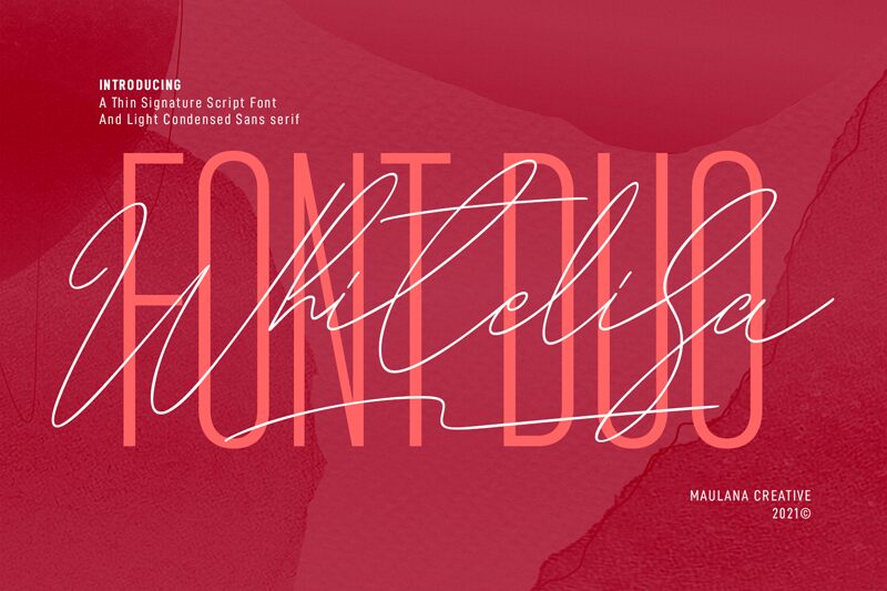 Whitelisa Druh písma