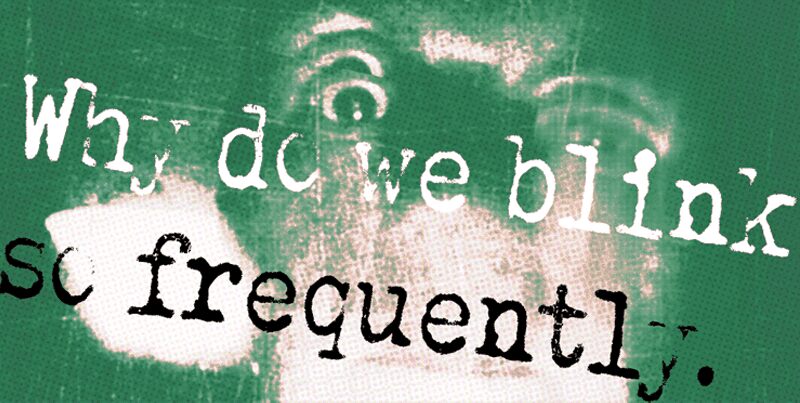 Why do we blink so frequently? Czcionka