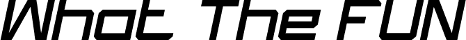 What The FUN Italic