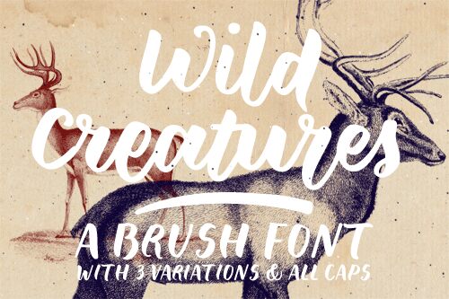 Wild Creatures Sample font | Fonts2u.com