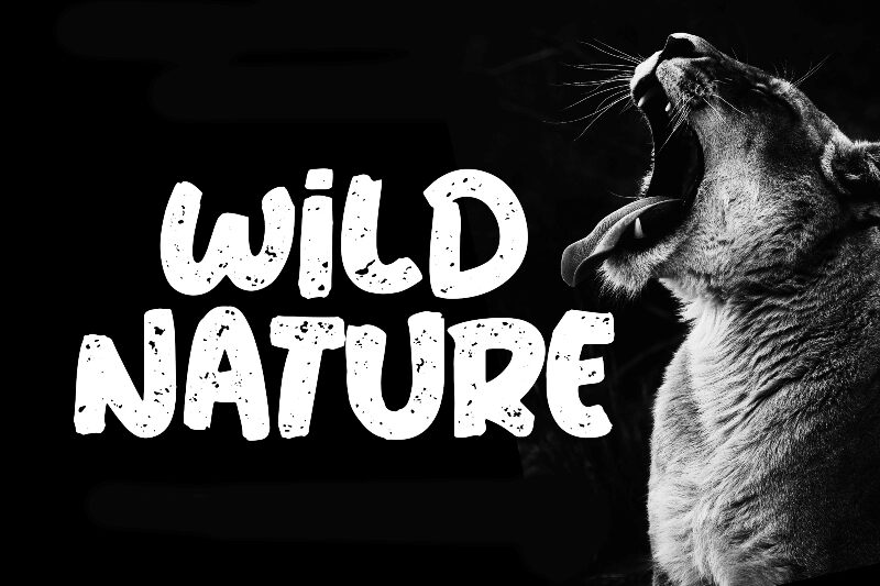 Wild Nature Czcionka