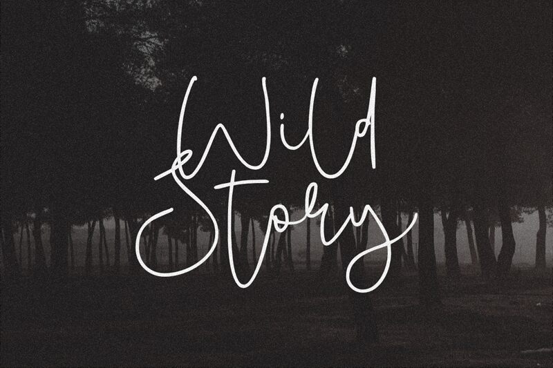 Wild Story Schriftart