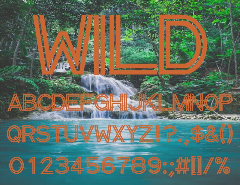 Wild Font