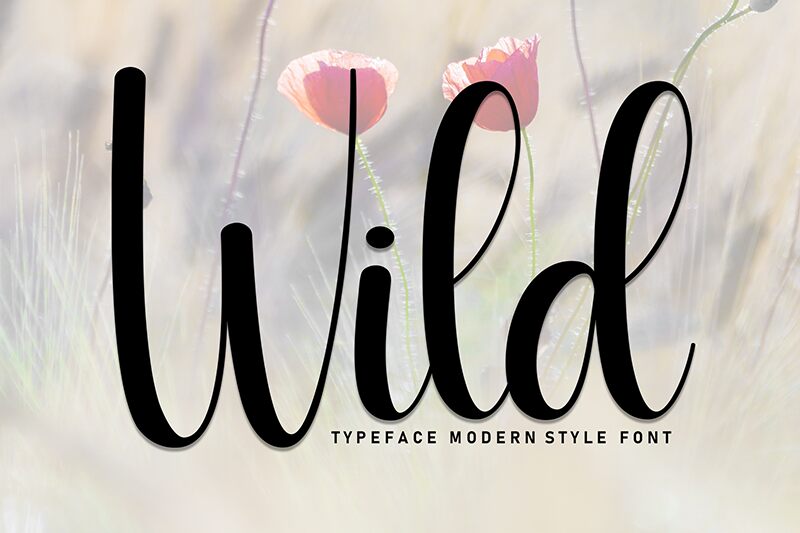 Wild Czcionka