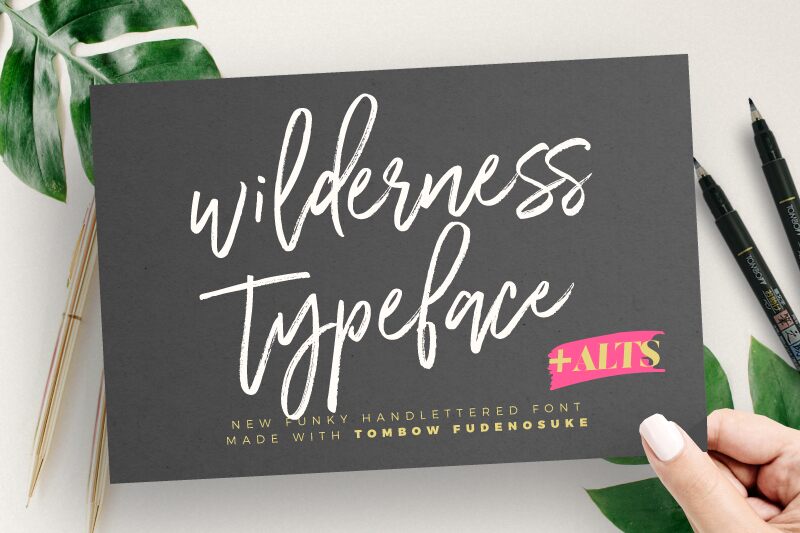Wilderness Typeface Schriftart