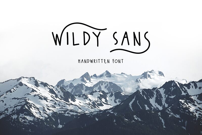 Wildy Sans Carattere