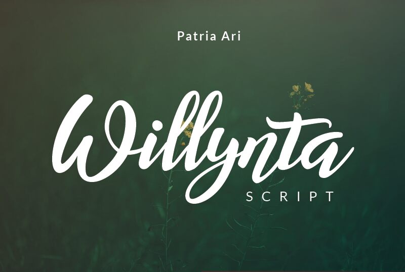 Willynta Script Czcionka