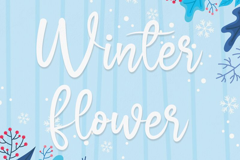 Winter Flower Font