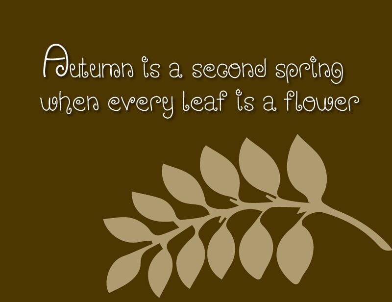 WischyStylus Czcionka