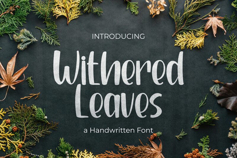 Withered Leaves Schriftart