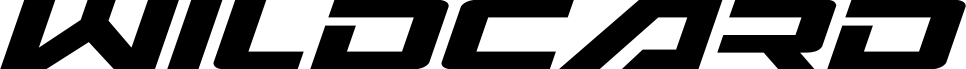 Wildcard Expanded Italic