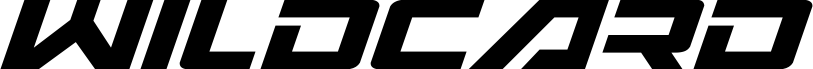 Wildcard Italic