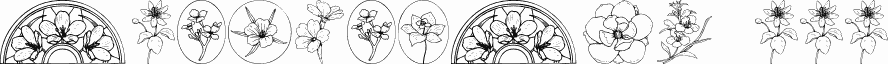 Wildflower III