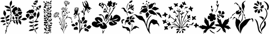 Wildflowers1