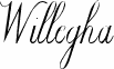 Willegha (Unregistered)
