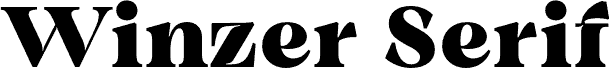 Winzer Serif PERSONAL USE Optical Black