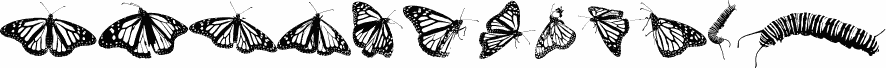 WL Royal Flutter Dingbats